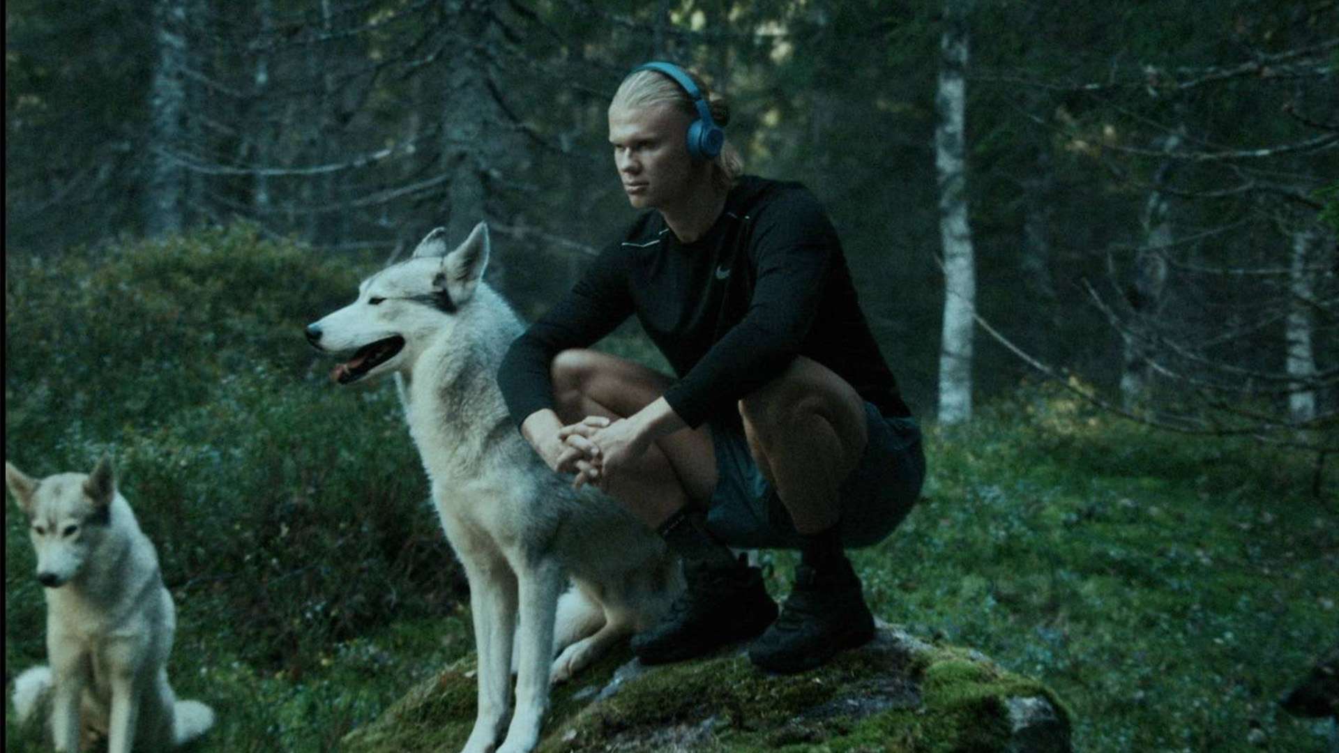 而不是用停 而不是用停